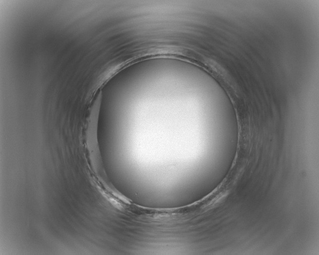 X0000065950985200603241816