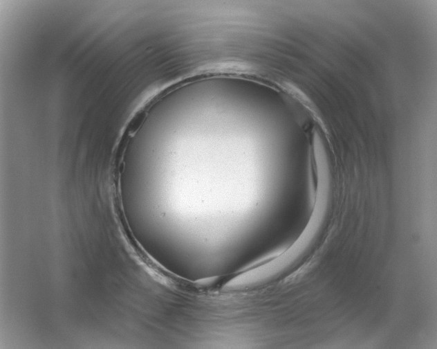 X0000065950989200603241816