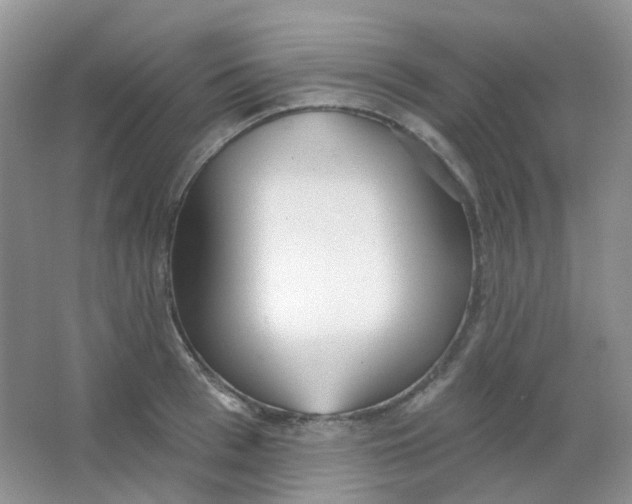 X0000065950993200603241816