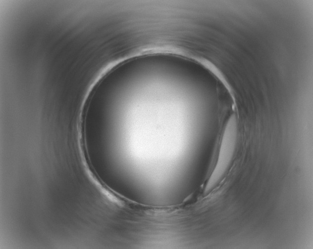 X0000065951005200603241816