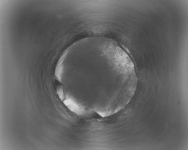 X0000065951009200603241815