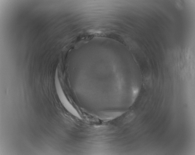 X0000065951010200603241815