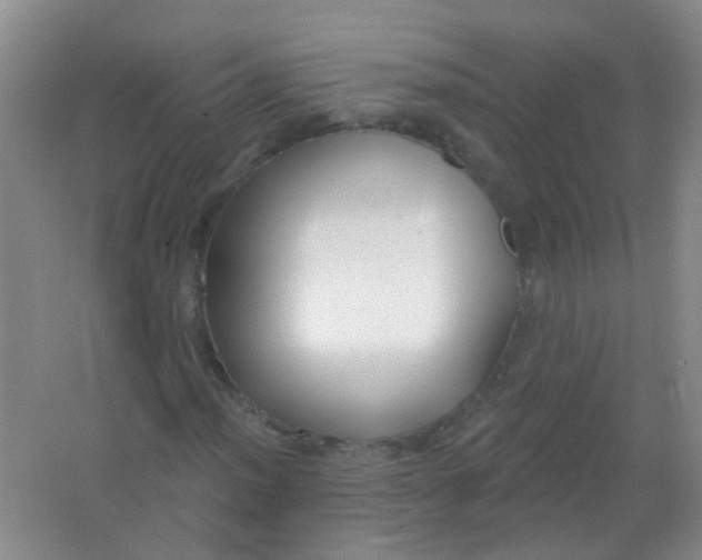X0000065951012200603241815