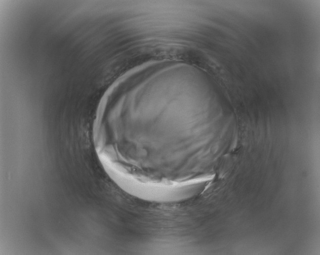 X0000065951013200603241815