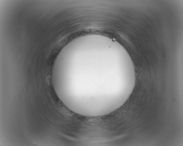 X0000065951015200603241815
