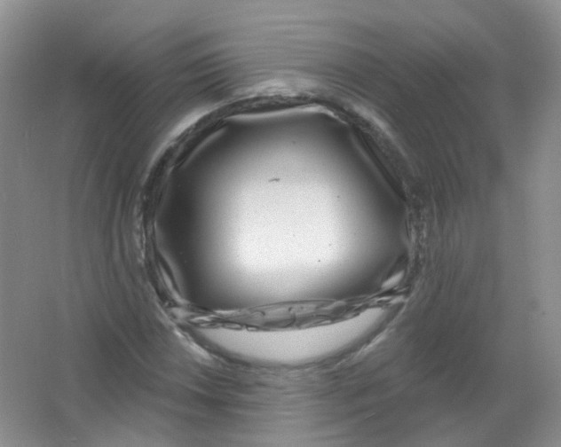 X0000065951018200603241815