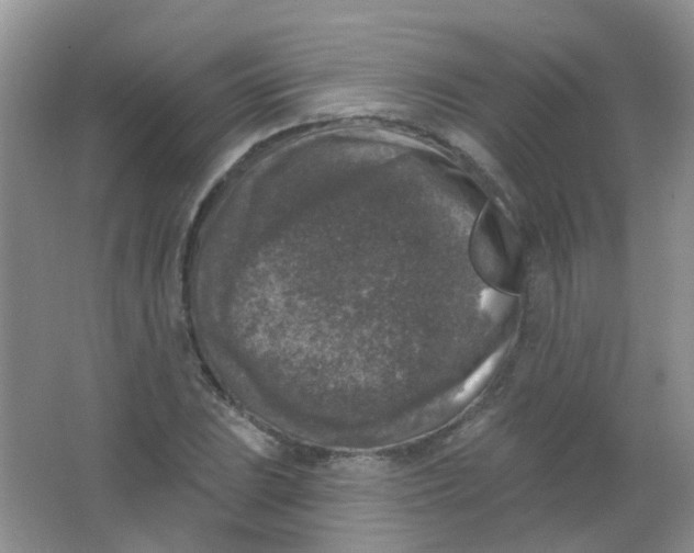 X0000065951023200603241815