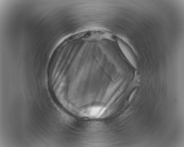 X0000065951024200603241815