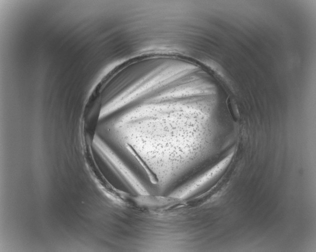 X0000065951030200603241815