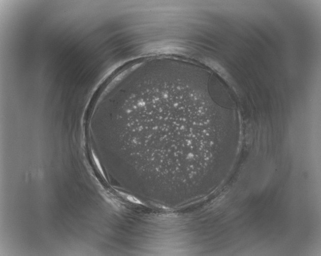 X0000065951031200603241815