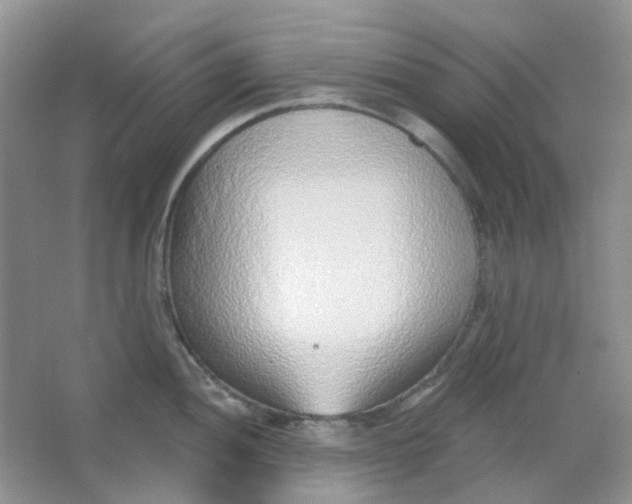 X0000065951052200603241816
