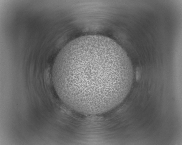 X0000065951059200603241815