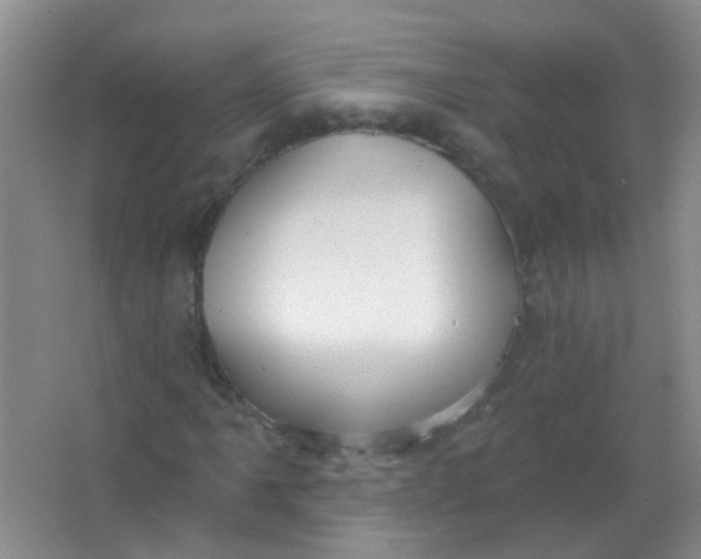 X0000065951061200603241815