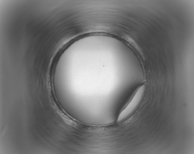 X0000065951072200603241815
