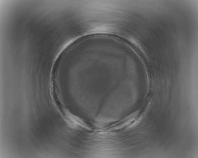 X0000065951077200603241815