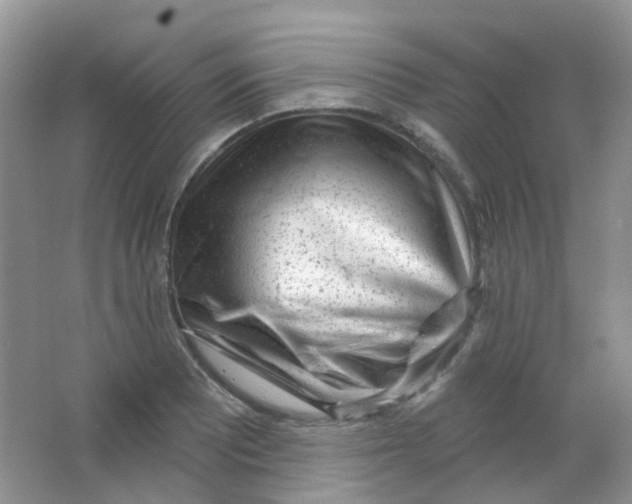 X0000065951081200603241815