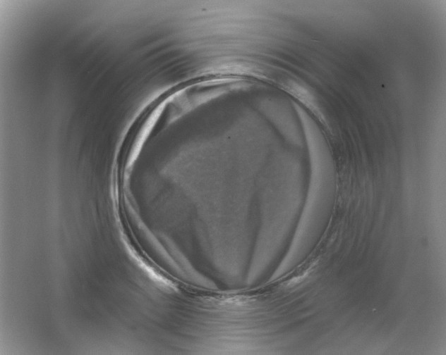 X0000065951084200603241815