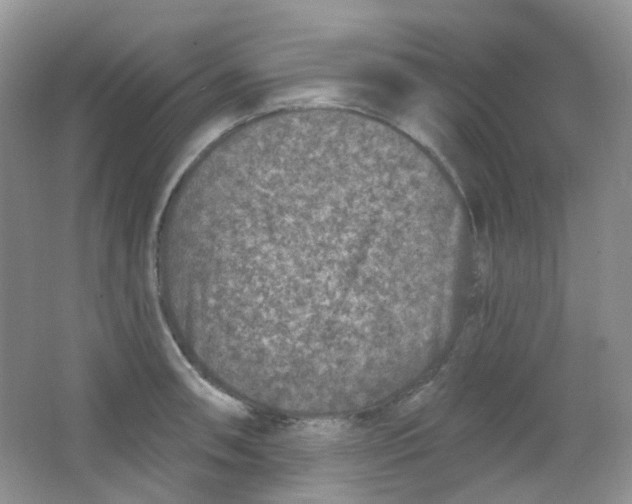 X0000065951090200603241815