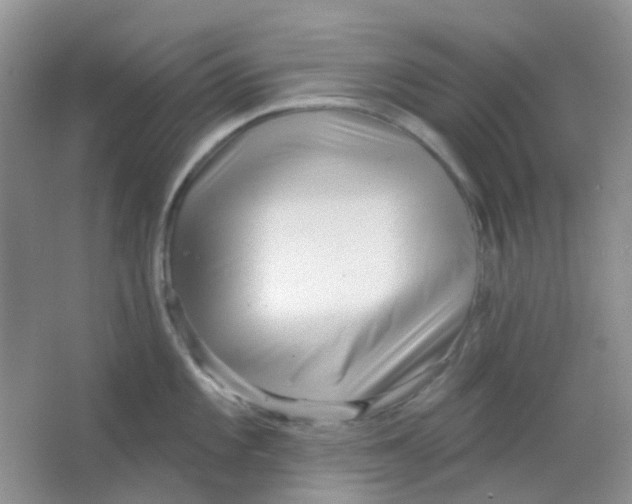 X0000065951101200603241814