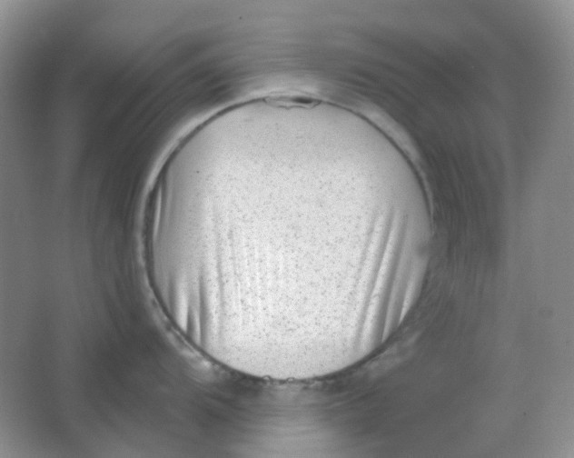 X0000065951104200603241814