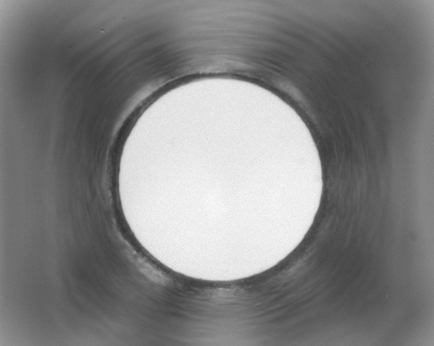 X0000065951122200603241814