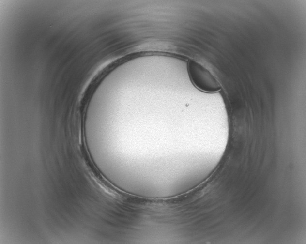 X0000065951123200603241814