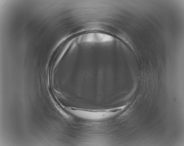 X0000065951127200603241814