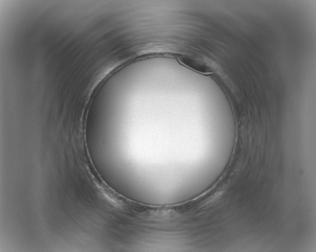 X0000065951129200603241814