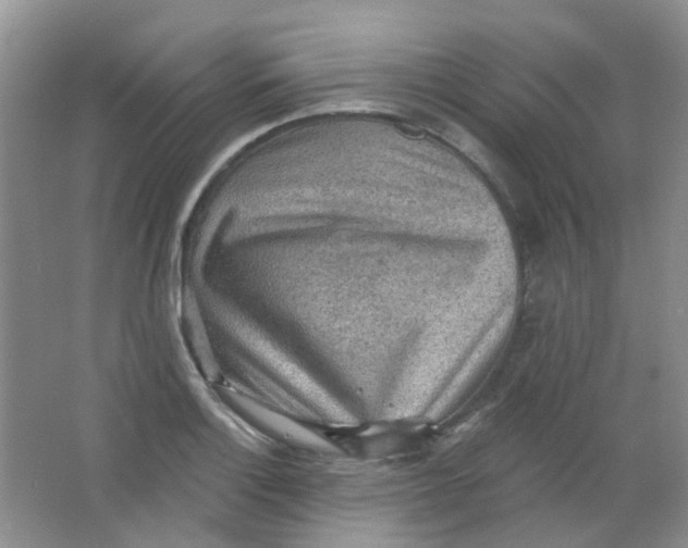 X0000065951132200603241814