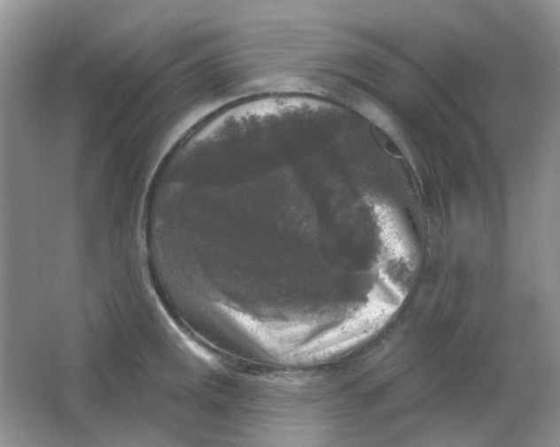X0000065951141200603241814