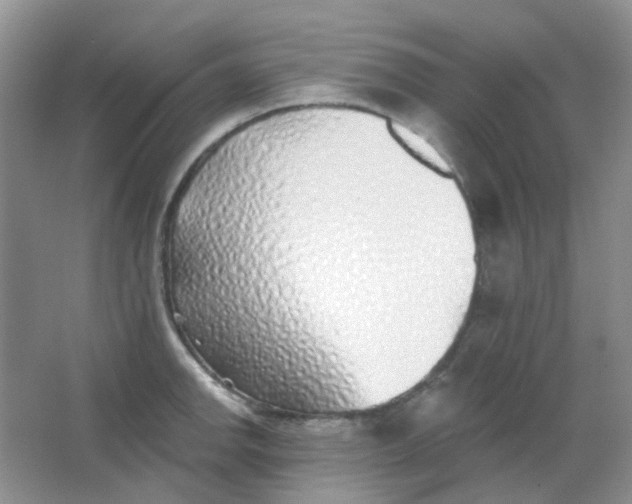 X0000065951142200603241814