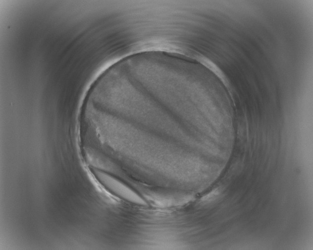 X0000065951144200603241814