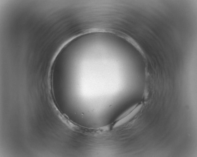 X0000065951148200603241814