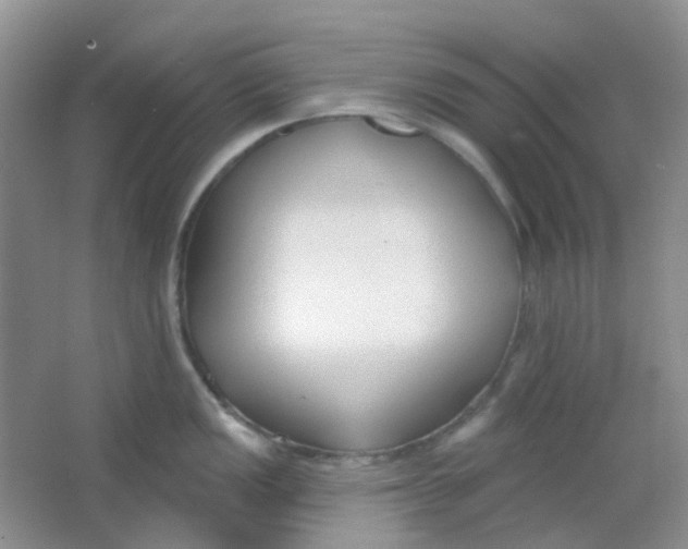 X0000065951149200603241814