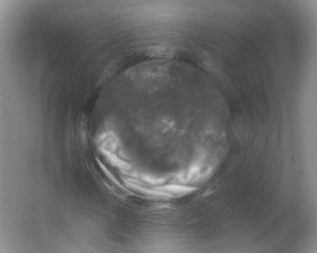 X0000065951154200603241813