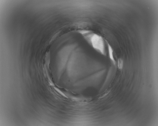 X0000065951155200603241813