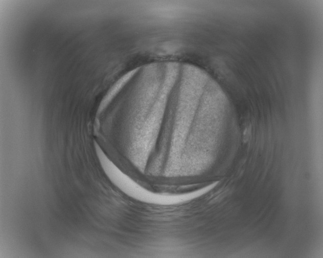 X0000065951156200603241813