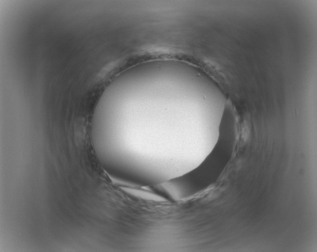 X0000065951157200603241813