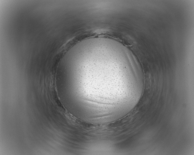 X0000065951158200603241813