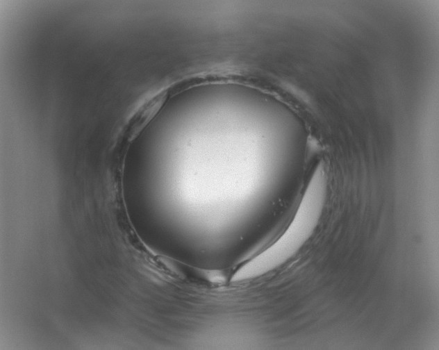 X0000065951160200603241813