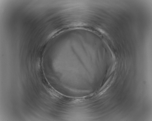 X0000065951161200603241813