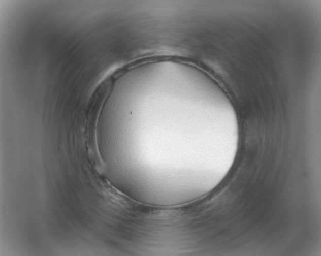 X0000065951163200603241813