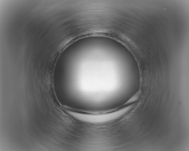 X0000065951169200603241813