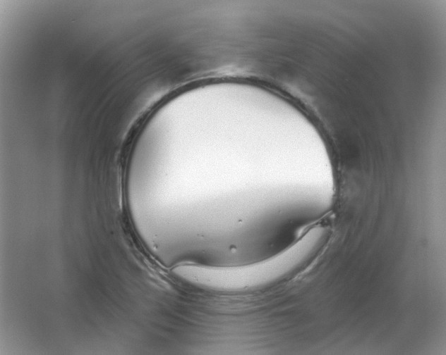 X0000065951171200603241813