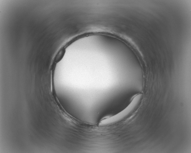 X0000065951175200603241813