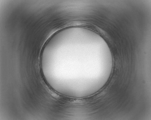 X0000065951178200603241813