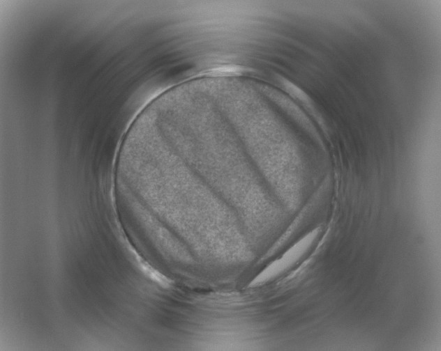 X0000065951194200603241813