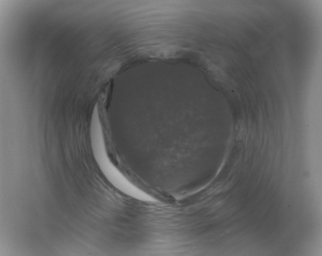 X0000065951202200603241812
