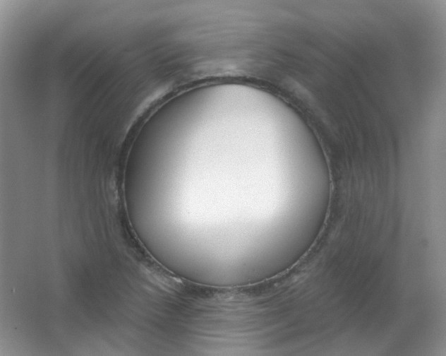 X0000065951218200603241812
