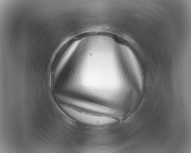 X0000065951224200603241812
